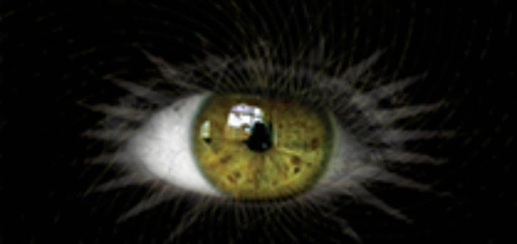 This image has an empty alt attribute; its file name is cropped-InsightLowVision-FrontCover-Small-1024x484.jpg