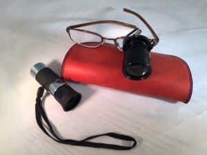 Monocular telescopes