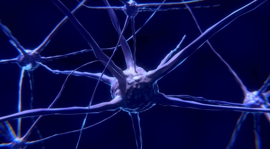 graphic drawing of nerve cells on a dark blue background