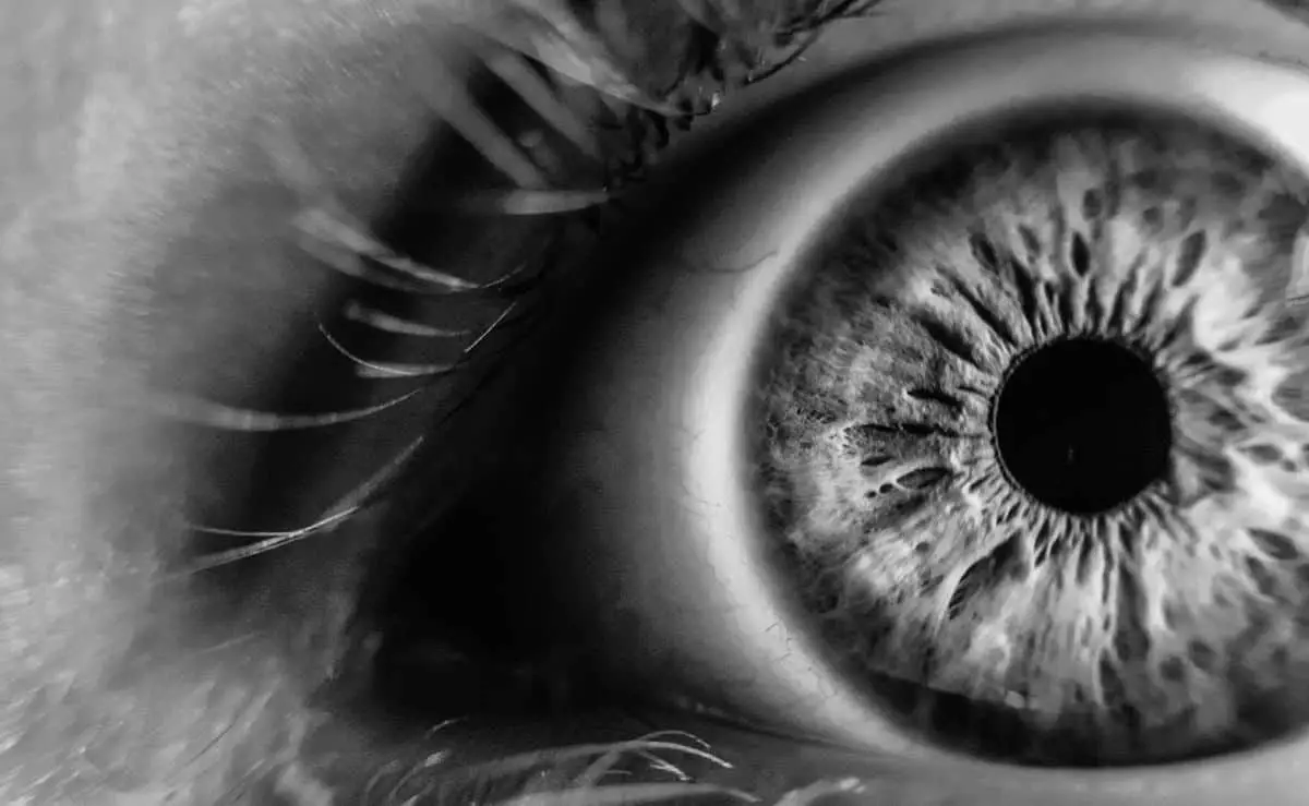 black and white close up image of an eye